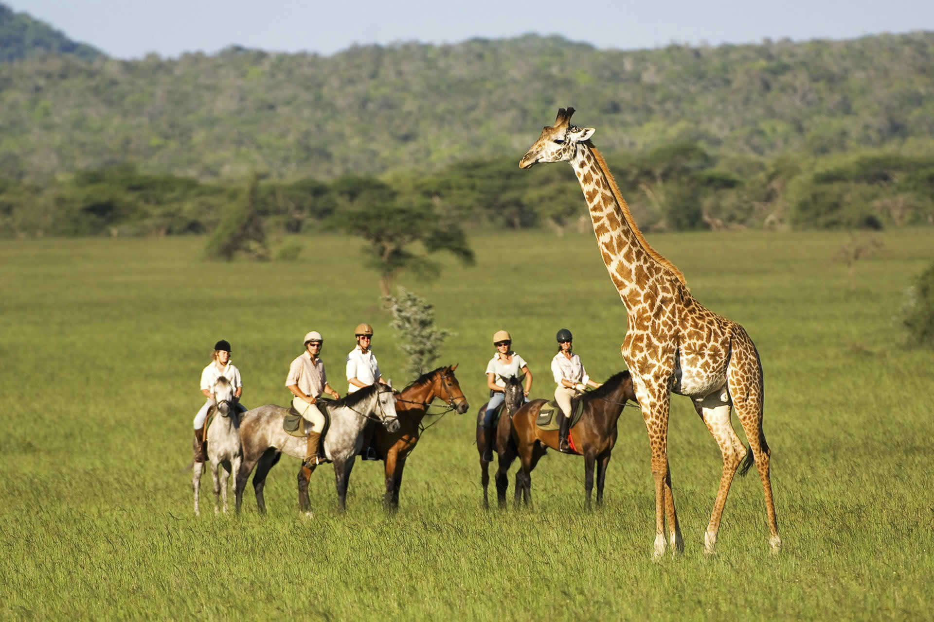 Enjoy the beauty of riding safari